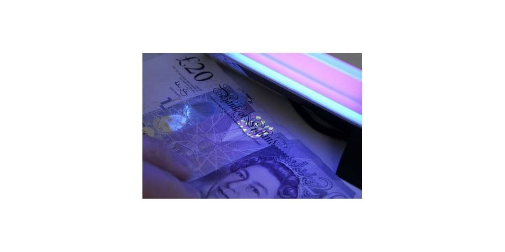 Beamz Conjunto UV luz negra de 6 pulgadas 160120 luz negra Conjunto UV