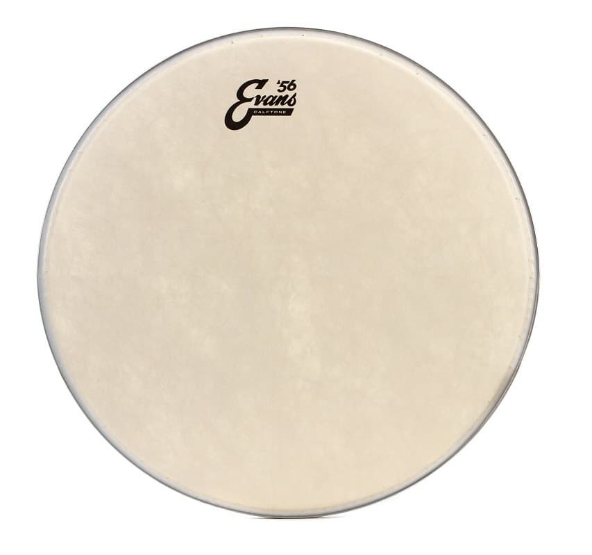 Evans 15 Calftone Parche de Tom TT15C7