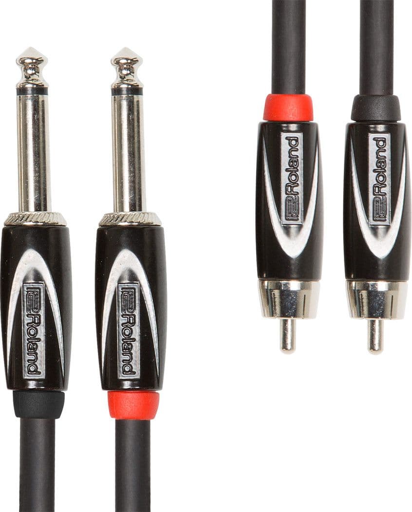 Roland RCC32R28 2 Jack Mono a 2 RCA 1m