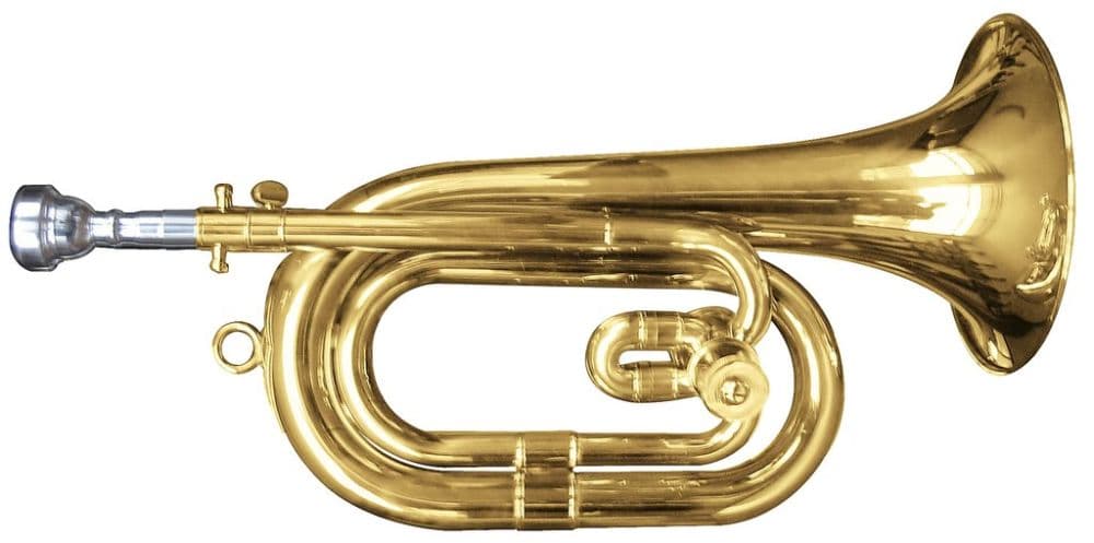 J.Michael Corneta En Do-Reb Act301