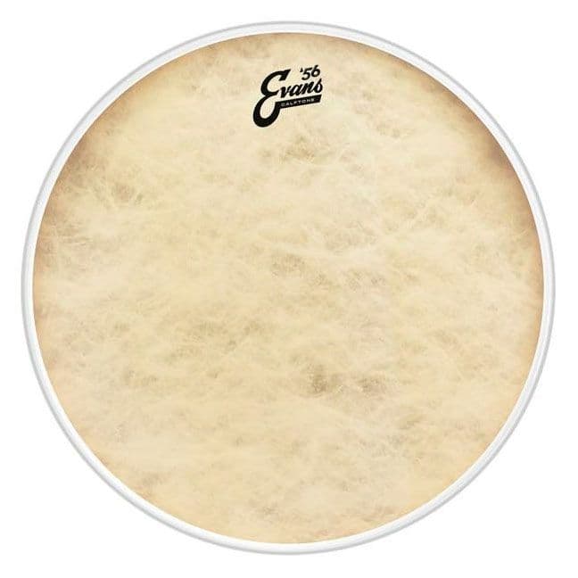 Evans 16 EQ4 Calftone Parche de Bombo BD16GB4CT