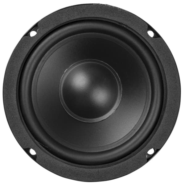 Fenton WPP10 Woofer Altavoz