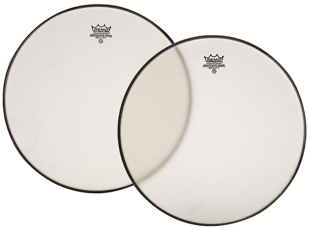 Remo 812048 Renaissance Bordonero 10 Pulgadas SA-0010-SS