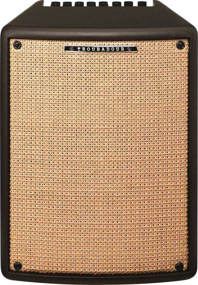 Ibanez T80II Combo Guitarra Acústica