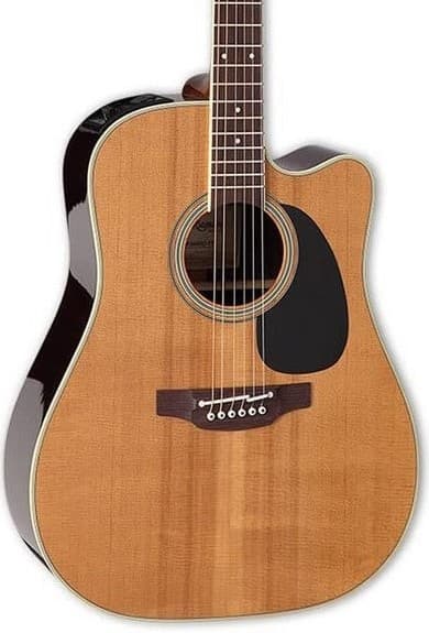 Takamine EF360 EA Thermal Top Guitarra Electroacústica
