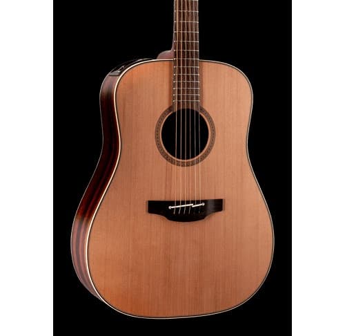 Takamine FN15AR PROJ Guitarra Electroacústica
