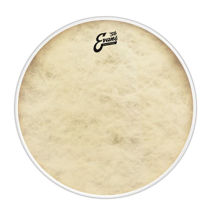 Evans 16 Calftone Parche de Bombo BD16CT