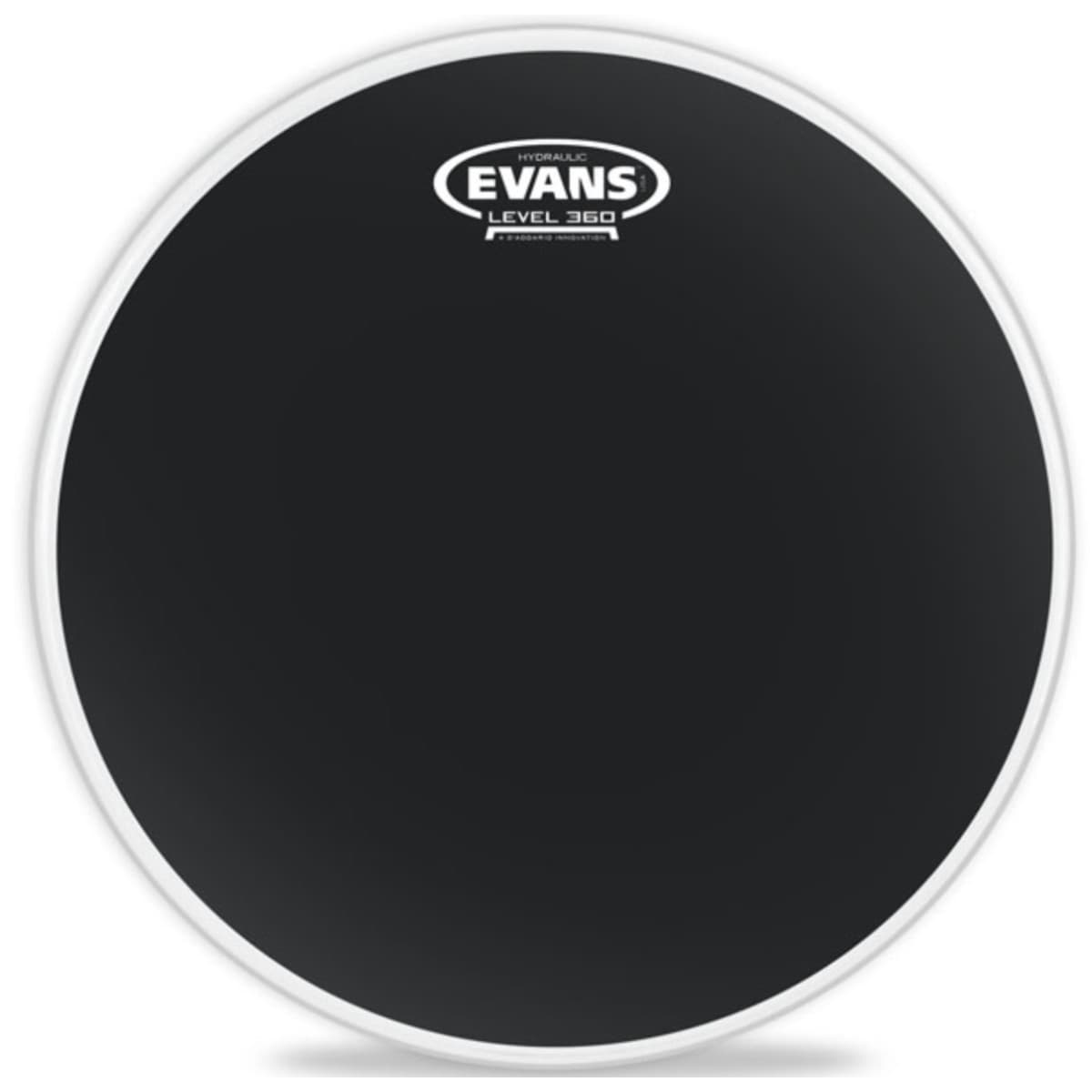 Evans B13HBG Hydraulic Black Coated Parche Caja