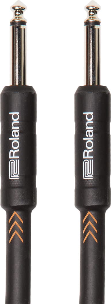 Roland RICB3 Cable Jack Mono a Jack.Mono. 1 Metro