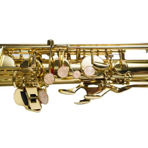 Taylor Collins Saxo Tenor TCTS-01 Lacado TCTS-01