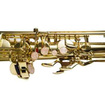 Taylor Collins Saxo Tenor TCTS-01 Lacado TCTS-01