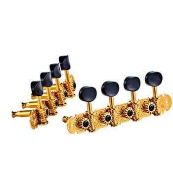 Ortega otmmadlx-go clavijero