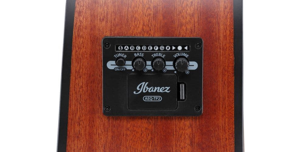 Ibanez AAD50CELG Guitarra Electroacústica Low Gloss AAD50CELG