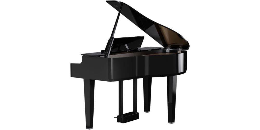 Roland GP-6 PE Piano Cola Digital GP-6 PE