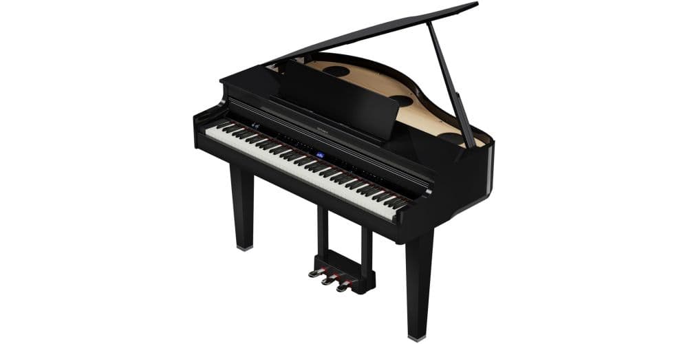 Roland GP-6 PE Piano Cola Digital GP-6 PE