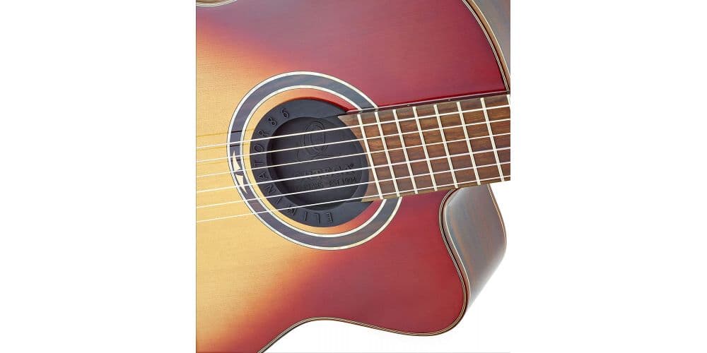 Ortega Eliminator 100 Eliminador de Acoples ELIMINATOR100