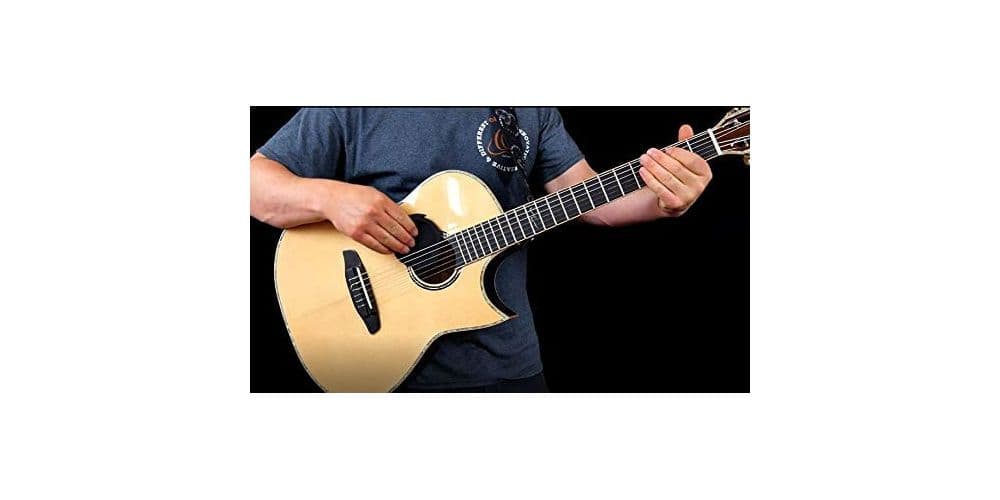 Ortega Eliminator 100 Eliminador de Acoples ELIMINATOR100