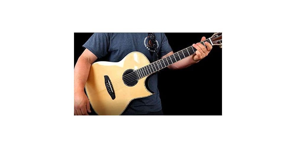 Ortega Eliminator 100 Eliminador de Acoples ELIMINATOR100