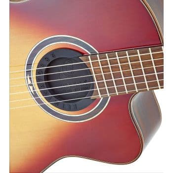 Ortega Eliminator 100 Eliminador de Acoples ELIMINATOR100