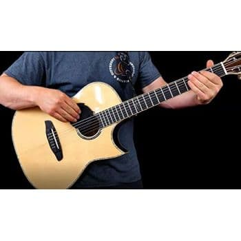 Ortega Eliminator 100 Eliminador de Acoples ELIMINATOR100