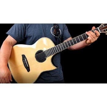 Ortega Eliminator 100 Eliminador de Acoples ELIMINATOR100