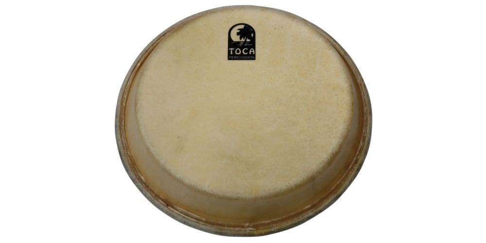 Toca Percussion TP-39012-1/2 Parche de Conga 12,5 Pulgadas TP-39012-1/2