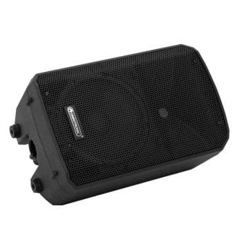 Omnitronic VFM-210 MK2 Altavoz Pasivo 10 Pulgadas VFM-210 MK2