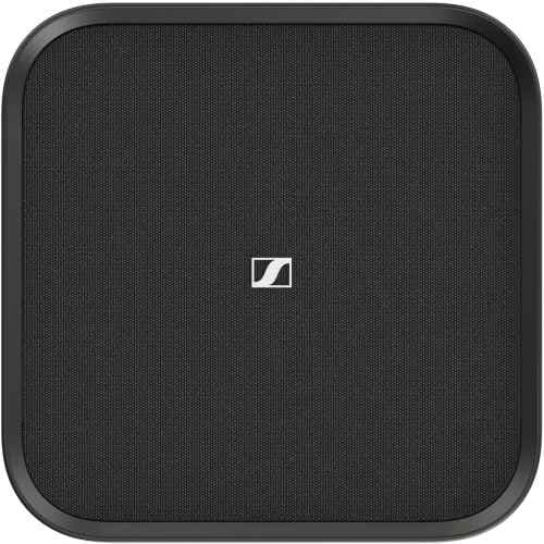 Sennheiser Ambeo Sub 8 Pulgadas Ambeo Sub