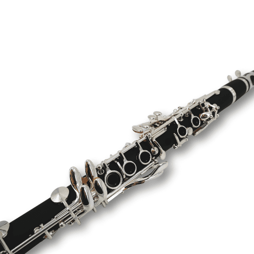 Taylor Collins Requinto TCCL-05 en Mib TCCL-05