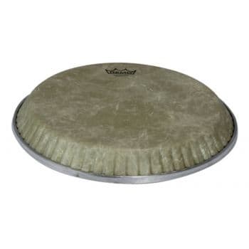 Remo 815053 fiberskyn 3 symmetry conga low collar 11,06 pulgadas m2-1106-f6-d3