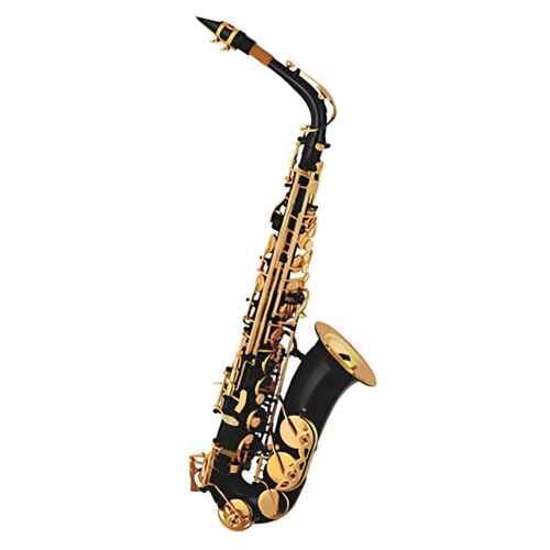 Taylor Collins TCAS-07 Negro Saxo Alto TCAS-07 Negro