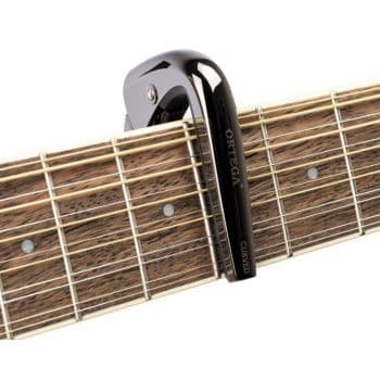 Ortega tncapocv-bcr cejilla curva (acústica y eléctrica)