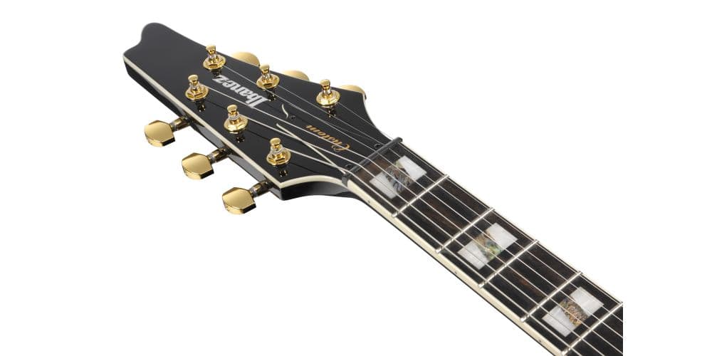 Ibanez FRM350-BK Paul Gilbert Signature Guitarra Eléctrica Funda Incluída FRM350-BK