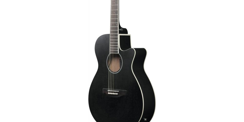 Ibanez AEG7MH-WK Guitarra Acústica AEG7MHWK