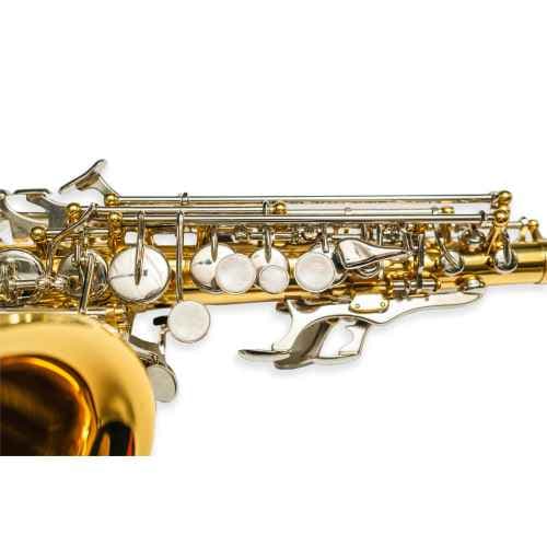 Taylor Collins Saxo Soprano Curvo TCSP-06 Lacado TCSP-06