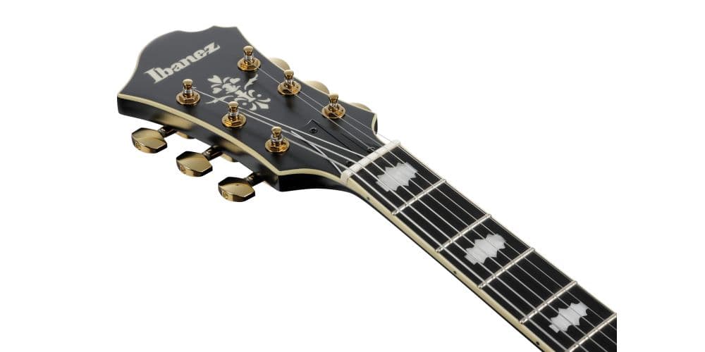 Ibanez PM3C-BKL Pat Metheny Signature Guitarra Eléctrica PM3C-BKL