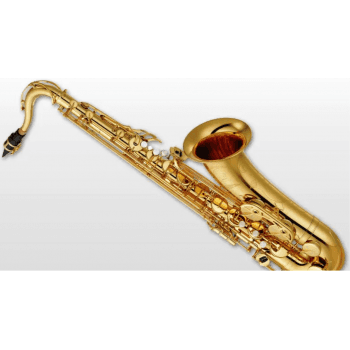 Yamaha YTS-480 Saxofón Tenor, Dorado YTS-480