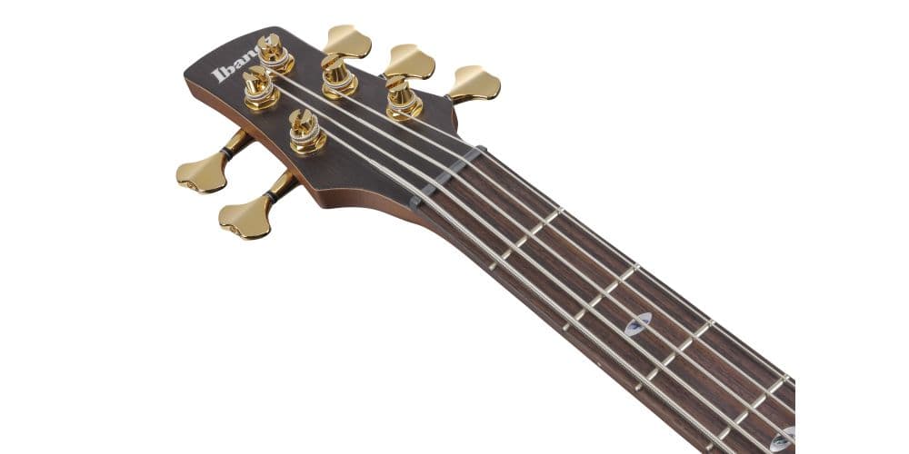 Ibanez SR6605-GFB Bajo Eléctrico SR6605-GFB