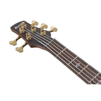 Ibanez SR6605-GFB Bajo Eléctrico SR6605-GFB
